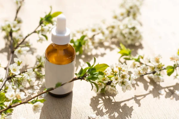 Beyaz sıkılmış şişe tüpünün üst görüntüsü. Küçük beyaz çiçekler. ilaç veya kozmetik - krem, jöle, cilt bakımı, diş macunu.