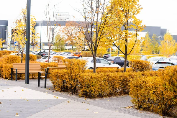 Bytový komplex v podzimní sezóně s barevnými podzimními listy. — Stock fotografie