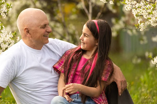 Büyükbaba ve torun Kiraz ağaçlarında yürüyor