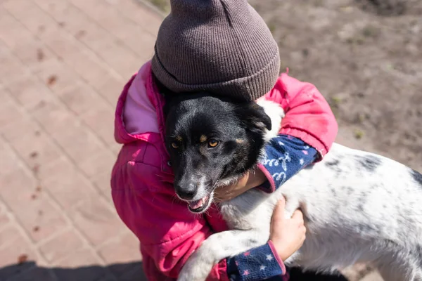 Little girl with her dog mongrel — Fotografia de Stock