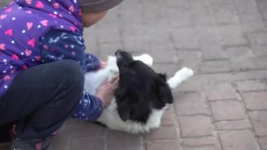 Köyde köpeği olan zavallı küçük kız.