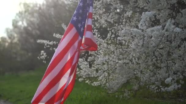 Amerika bayrağı çiçek açan bir ağacın arka planında. Politika, yabancı bir dil öğrenmek. 4 Temmuz. Anma Günü — Stok video