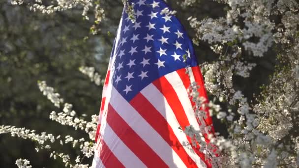 American flags in flowers on the Fourth of July — Vídeo de stock