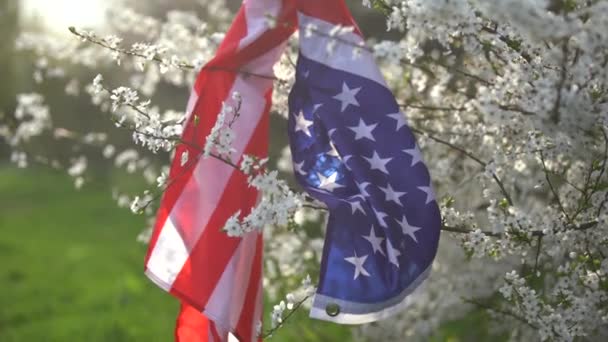 Flagga av Amerika på bakgrunden av ett blommande träd. Politik, att lära sig ett främmande språk. 4 juli. Minnesdag — Stockvideo