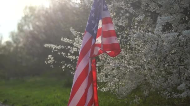 Σημαίες Αμερικανικές σε λουλούδια την 4η Ιουλίου — Αρχείο Βίντεο