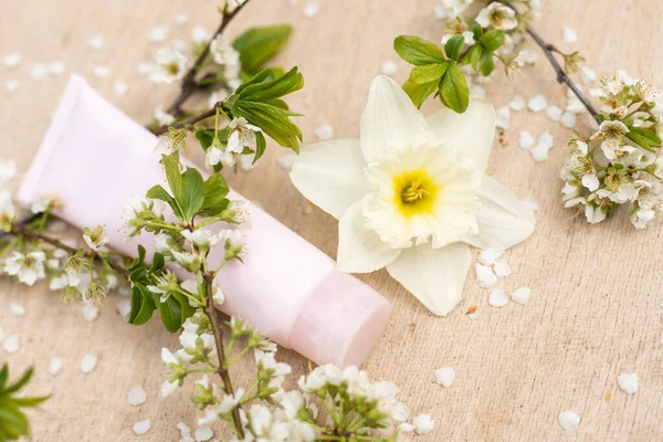 Blank white cosmetics tube and spring flowering tree branch with white flowers on pastel background. Front view — Foto de Stock
