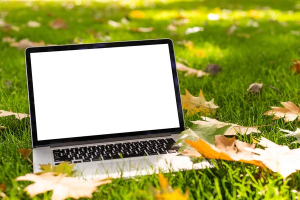 Ordinateur portable à écran vierge sur la terrasse avec beau fond de feuilles d'érable rouge et jaune coloré d'automne, espace de copie pour la présentation d'affichage, marketing, concept de publicité — Photo