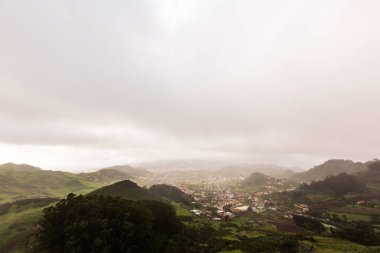 Anaga Kuzey Ormanı Tenerife Adası, Kanarya Adaları, İspanya.