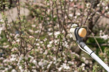 Bir çiçek bahçesinde uydu anteni..