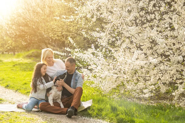 Família Com Filha Cachorro Brincam Juntos Jardim Primavera — Fotografia de Stock
