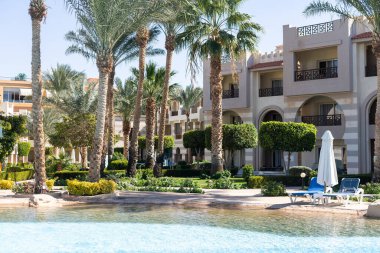 Plaja yakın palmiye ağaçları rüzgardan korunmak için. Palmiye ağaçları sıcak bir ülkede yetişir.