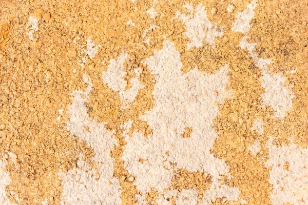 Detailní Záběr Drsného Vápencového Povrchu Koktejlová Textura Mušlí Přírodní Pozadí — Stock fotografie