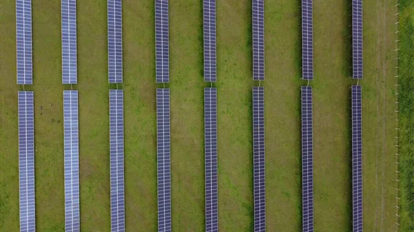 Aerial View Solar Panels Farm Solar Cell Sunlight Drone Flight — Stock Photo, Image
