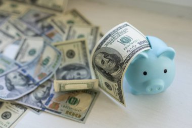 Domuz kumbarası burnuna kadar dolar yığınına batmış.