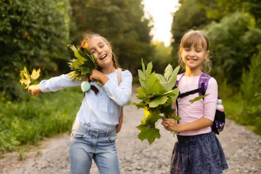 Okullu kızlar sonbahar yapraklarını kurulamak için topluyorlar. Okul projesi kurumuş yapraklardan bitki üretmek. Kız sonbahar sanatı için yapraklar hazırladı. Sonbahar parkında yürüyen kızlar
