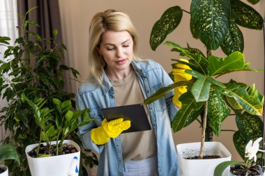 Kapalı saksılar için dijital tablet kullanan bir kadın.