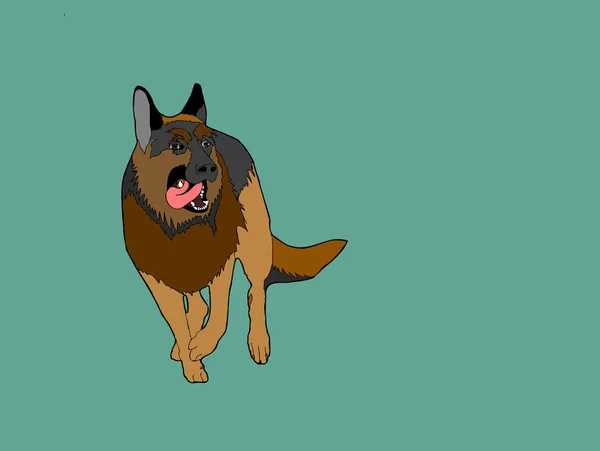 Flat Isolated Sheppard Dog Breed Illustration Vector Vector Illustration — Stock Vector
