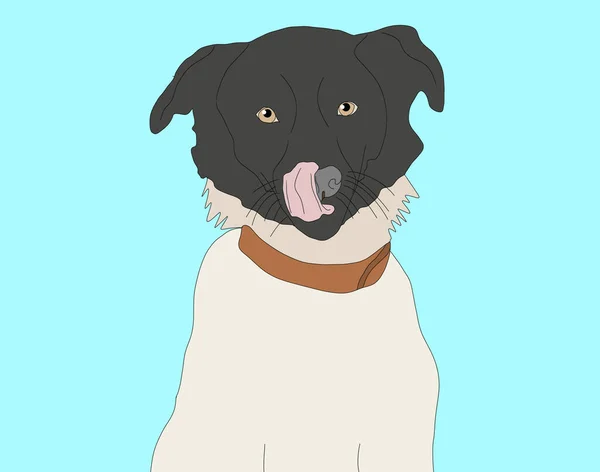 Lindo Perro Bebé Ilustración Cachorro Para Niños Camisetas — Foto de Stock