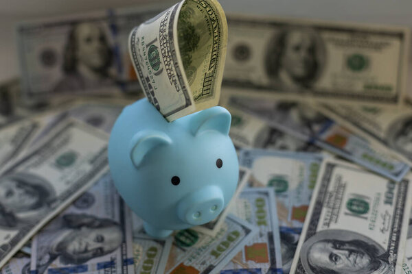 бизнес, финансы, инвестиции, сбережения и коррупция - закрытие долларовых наличных денег и банка поросят на столе
