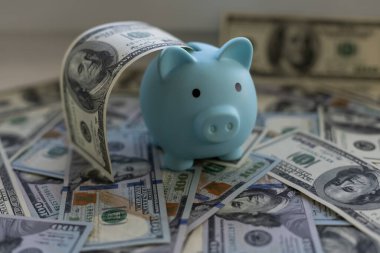 Domuz kumbarası burnuna kadar dolar yığınına batmış.