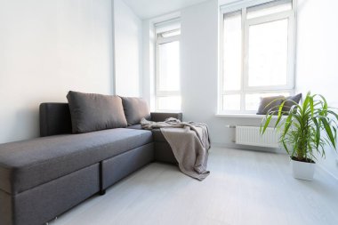 Rahat mobilyaları olan çağdaş bir yatak odası. Battaniyeli ve yastıklı iki kişilik yatak, ayna ve saksı gri duvarlı bitki modern evdeki perdeli arka plan, güneş parlaması.