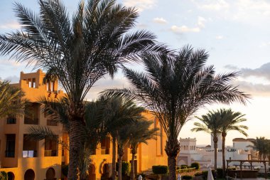Mısır 'da bir otel. tropik tatil beldesi.