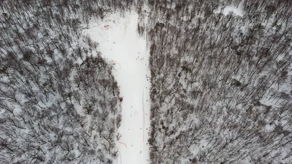 Kayak Merkezindeki Yamaçta Görüntüsü Orman Kayak Pisti Havadan Nsansız Hava — Stok fotoğraf