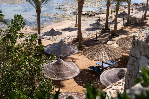 Atardecer Playa Con Palmeras Sombrillas Tumbonas Vacaciones Familia Mar — Foto de Stock
