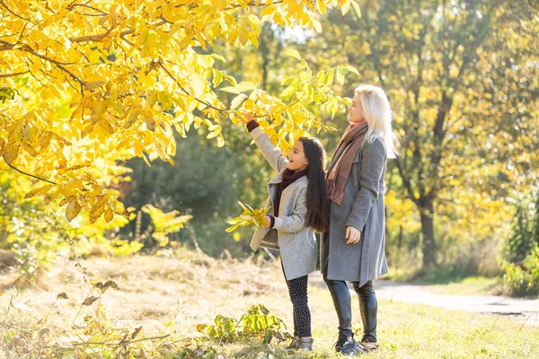 Gelukkig Gezin Moeder Kind Dochtertje Spelen Herfstwandeling Natuur Buiten — Stockfoto