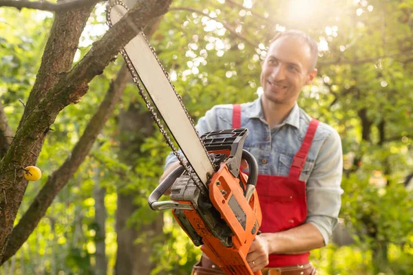 Man Sawing Tree Chainsaw — Zdjęcie stockowe