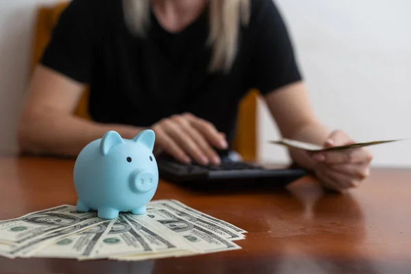 Womens Hands Hold Dollars Put Piggy Banks Money Expand Successful —  Fotos de Stock