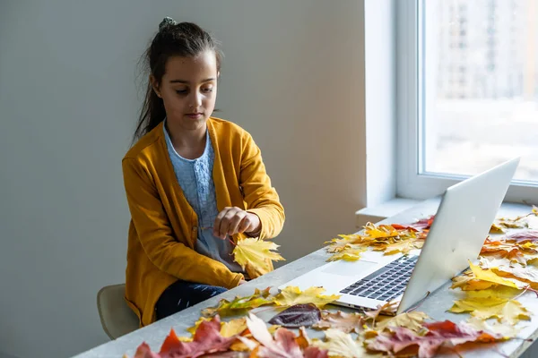 Little Smiling Girl Using Laptop Autumn Leaves — Stock Photo, Image