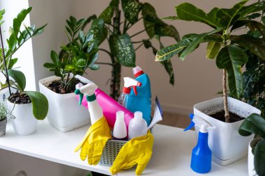 Bitki bakımı spreyi. Arka planda kapalı bitkiler.