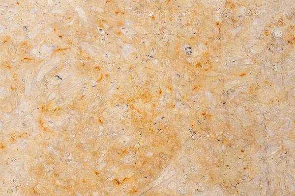 Nahaufnahme Einer Rauen Kalksteinoberfläche Shell Rock Coquina Textur Natürlicher Hintergrund — Stockfoto