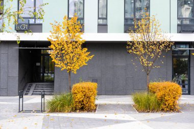 Sonbahar mevsiminde renkli sonbahar yapraklarıyla apartman kompleksi