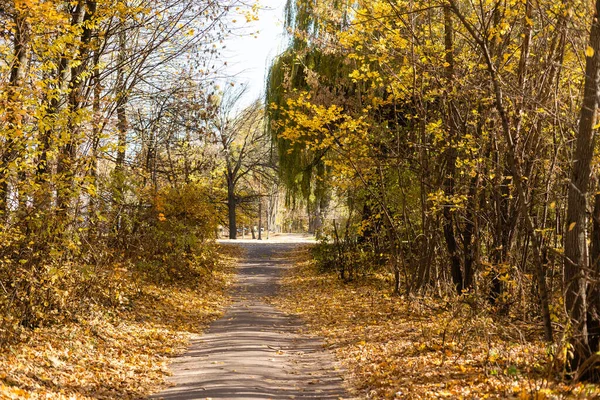 Hermoso Parque Otoño Tiempo Soleado — Foto de Stock