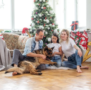 Noel Aile Portresi Evde Tatil Salonu, Çocuk ve Köpek Oyunları, Hediye Kutusu, Noel Ağacı Dekorasyonu.