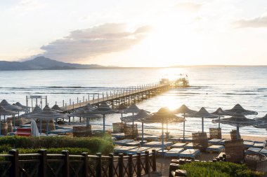 Plajda gün batımında palmiye ağaçları, şemsiyeler ve güneş yatakları. Aile Tatilleri Denizde