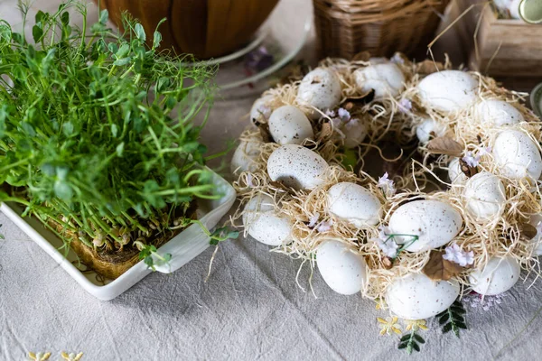 Nid Oiseaux Oeufs Pour Pâques — Photo