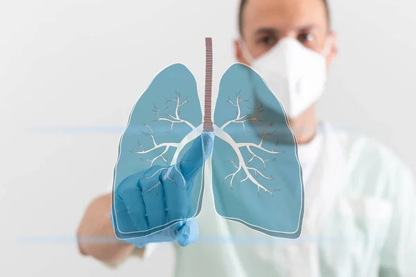 Жінка Лікар Тримає Віртуальні Легені Руці Ручна Робота Людського Органу — стокове фото