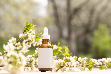 Boş beyaz kozmetik tüpü ve pastel arka planda beyaz çiçekli bahar çiçekli ağaç dalı. Ön görünüm.