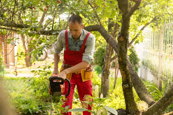 Cutting Tree Branches Pole Chain Saw — Zdjęcie stockowe