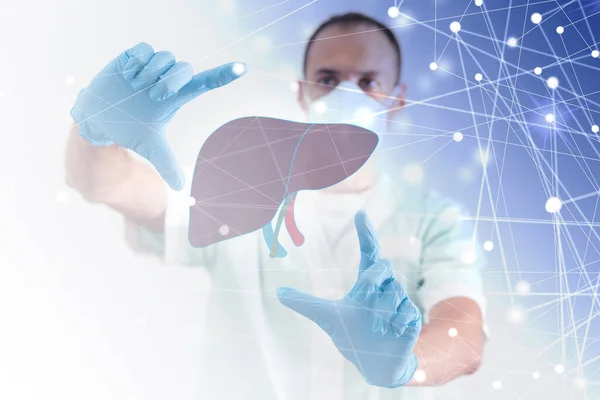 Male Doctor Touches Virtual Liver Hand Blurred Photo Handrawn Human —  Fotos de Stock