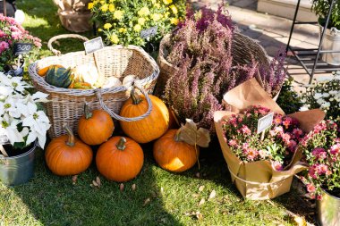 kabak ve diğer dekor nesnelerle Halloween süslemeleri