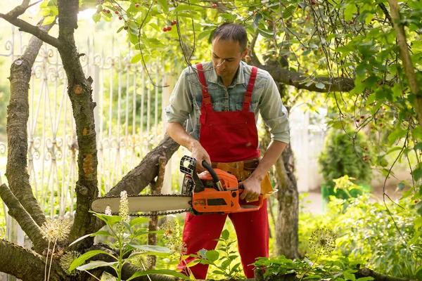 Cutting tree branches with a pole chain saw.