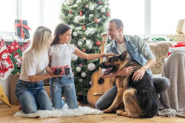 Mutlu aile ve şirin köpek yılbaşı ağacında eğleniyor. Atmosferik duygusal anlar. Mutlu Noeller ve mutlu yıllar konsepti
