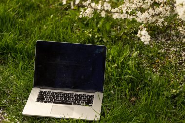 Uzaktan kumanda kiraz çiçeklerinin altında çalışıyor.