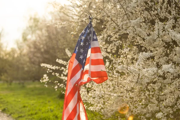 American flags in flowers on the Fourth of July.