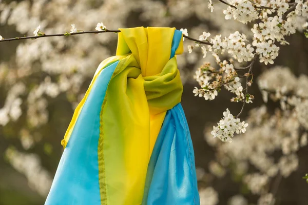 Flag Ukraine Flowering Tree Garden Spring Ukrainian Patriotic Symbols Flag — стокове фото