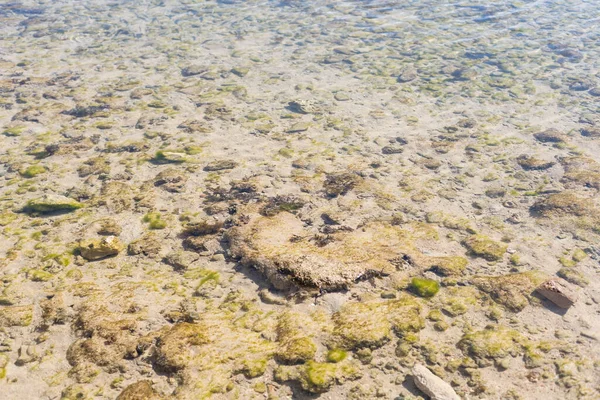 Kameny Mrtvých Korálů Zametené Vlnami Bílé Písečné Pláži — Stock fotografie